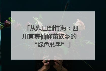 从煤山到竹海：四川宜宾仙峰苗族乡的“绿色转型”