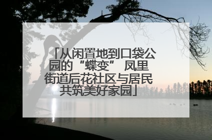 从闲置地到口袋公园的“蝶变” 凤里街道后花社区与居民共筑美好家园