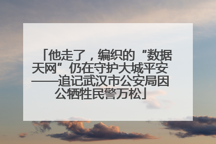 他走了，编织的“数据天网”仍在守护大城平安——追记武汉市公安局因公牺牲民警万松