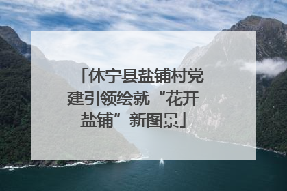 休宁县盐铺村党建引领绘就“花开盐铺”新图景