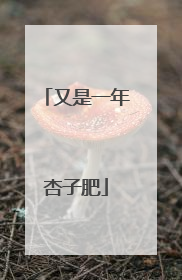 又是一年杏子肥