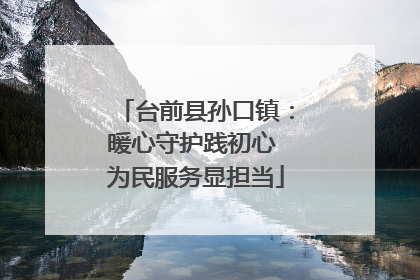 台前县孙口镇：暖心守护践初心 为民服务显担当
