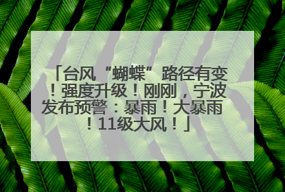 台风“蝴蝶”路径有变！强度升级！刚刚，宁波发布预警：暴雨！大暴雨！11级大风！