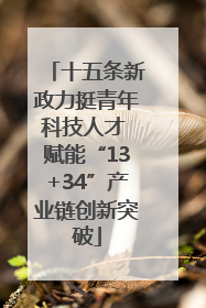 十五条新政力挺青年科技人才 赋能“13+34”产业链创新突破