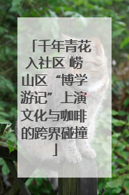 千年青花入社区 崂山区“博学游记”上演文化与咖啡的跨界碰撞