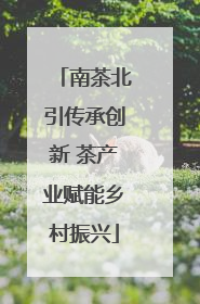 南茶北引传承创新 茶产业赋能乡村振兴