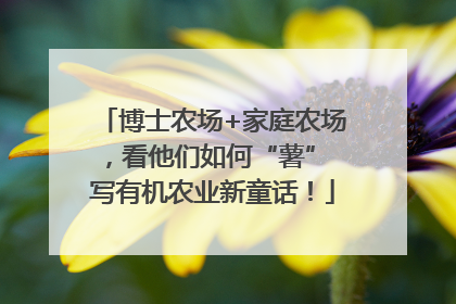 博士农场+家庭农场，看他们如何“薯” 写有机农业新童话！