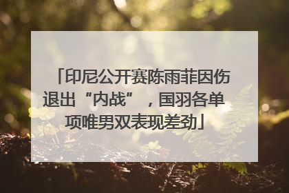 印尼公开赛陈雨菲因伤退出“内战”，国羽各单项唯男双表现差劲