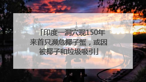 印度一洞穴现150年来首只濒危椰子蟹，或因被椰子和垃圾吸引