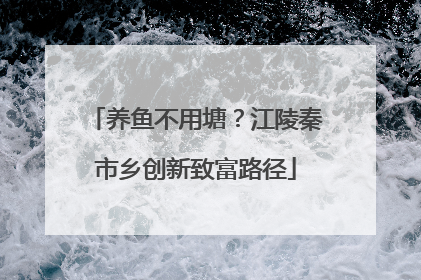 养鱼不用塘？江陵秦市乡创新致富路径