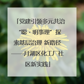 党建引领多元共治 “聪・明事理”探索基层治理 新路径——月湖区化工厂社区新实践