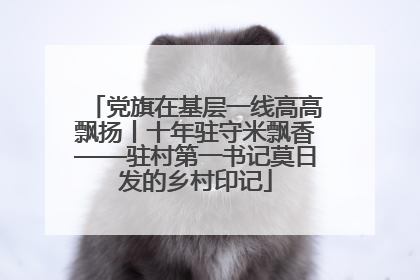 党旗在基层一线高高飘扬丨十年驻守米飘香——驻村第一书记莫日发的乡村印记