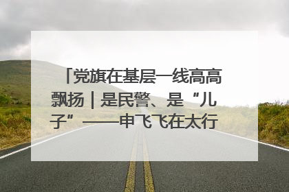 党旗在基层一线高高飘扬｜是民警、是“儿子”——申飞飞在太行山中的一线坚守