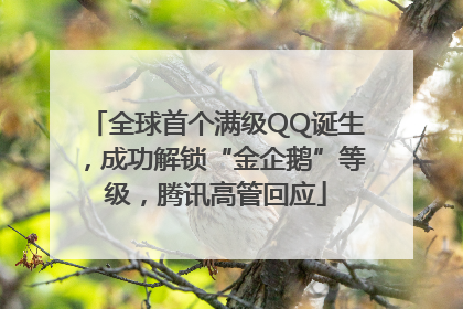 全球首个满级QQ诞生，成功解锁“金企鹅”等级，腾讯高管回应