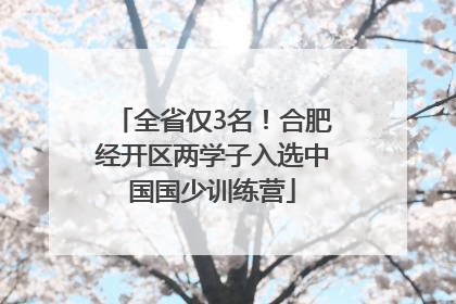 全省仅3名！合肥经开区两学子入选中国国少训练营