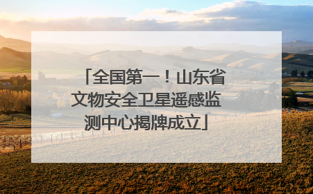 全国第一！山东省文物安全卫星遥感监测中心揭牌成立