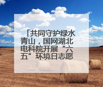 共同守护绿水青山，国网湖北电科院开展“六五”环境日志愿活动