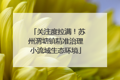 关注度拉满！苏州渭塘镇精准治理小流域生态环境