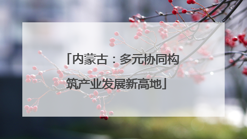 内蒙古：多元协同构筑产业发展新高地