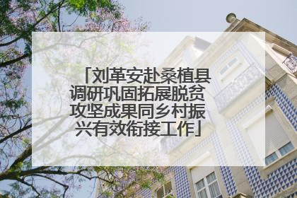刘革安赴桑植县调研巩固拓展脱贫攻坚成果同乡村振兴有效衔接工作