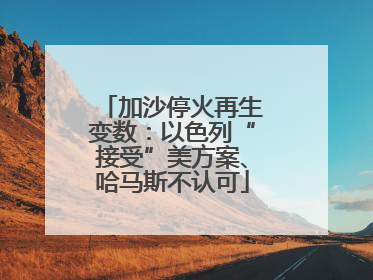 加沙停火再生变数：以色列“接受”美方案、哈马斯不认可