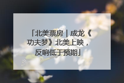 北美票房｜成龙《功夫梦》北美上映，反响低于预期