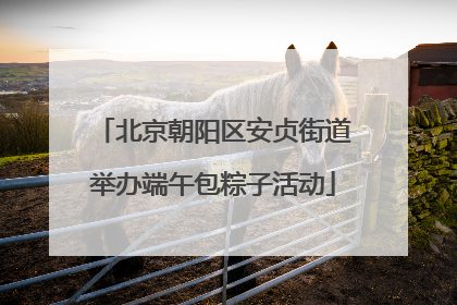 北京朝阳区安贞街道举办端午包粽子活动