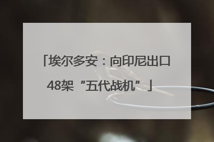 埃尔多安：向印尼出口48架“五代战机”
