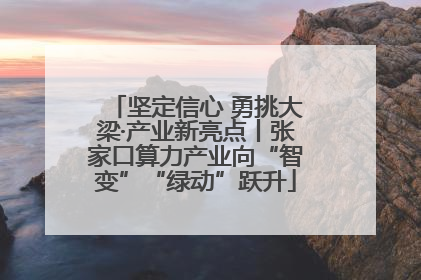 坚定信心 勇挑大梁·产业新亮点丨张家口算力产业向“智变”“绿动”跃升