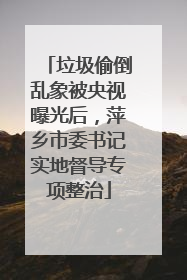 垃圾偷倒乱象被央视曝光后，萍乡市委书记实地督导专项整治