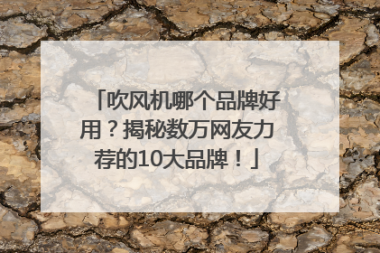 吹风机哪个品牌好用？揭秘数万网友力荐的10大品牌！