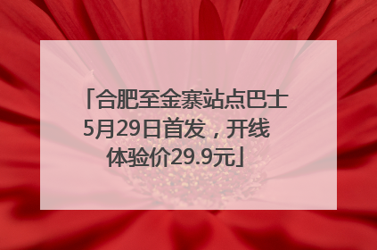 合肥至金寨站点巴士5月29日首发，开线体验价29.9元