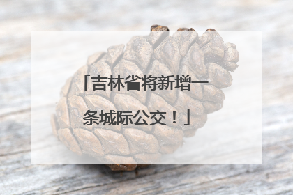 吉林省将新增一条城际公交！
