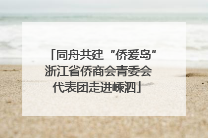 同舟共建“侨爱岛” 浙江省侨商会青委会代表团走进嵊泗