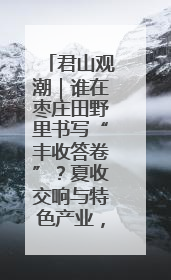 君山观潮｜谁在枣庄田野里书写“丰收答卷”？夏收交响与特色产业，共绘乡村振兴新图景