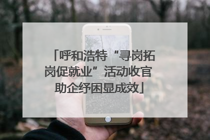 呼和浩特“寻岗拓岗促就业”活动收官 助企纾困显成效