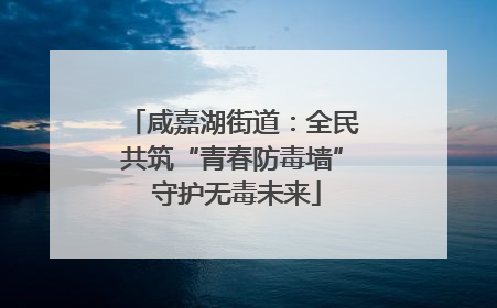 咸嘉湖街道：全民共筑“青春防毒墙” 守护无毒未来