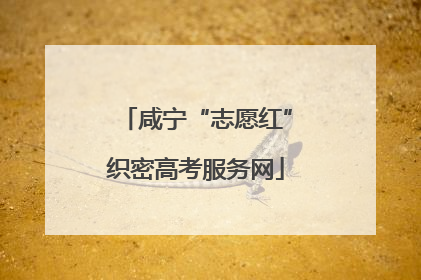 咸宁“志愿红”织密高考服务网