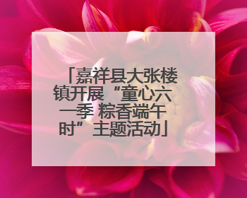 嘉祥县大张楼镇开展“童心六一季 粽香端午时”主题活动