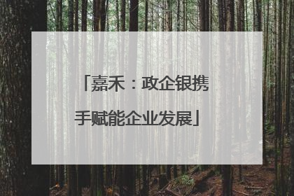 嘉禾：政企银携手赋能企业发展