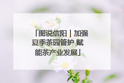 图说信阳｜加强夏季茶园管护 赋能茶产业发展