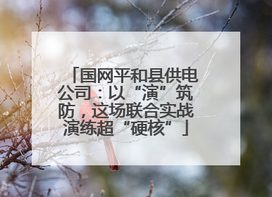 国网平和县供电公司：以“演”筑防，这场联合实战演练超“硬核”