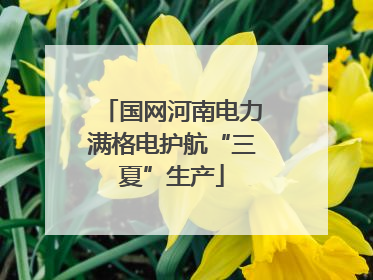国网河南电力满格电护航“三夏”生产