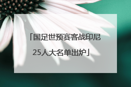 国足世预赛客战印尼25人大名单出炉