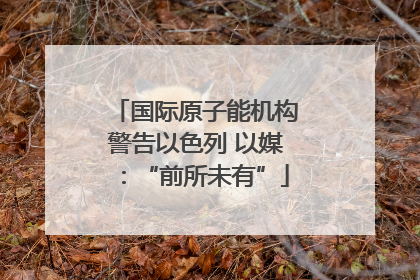 国际原子能机构警告以色列 以媒：“前所未有”