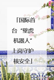 国际首台“壁虎机器人”上岗守护核安全