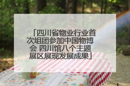 四川省物业行业首次组团参加中国物博会 四川馆八个主题展区展现发展成果
