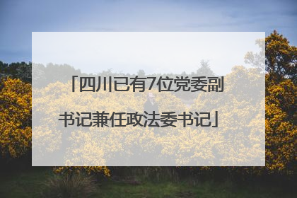 四川已有7位党委副书记兼任政法委书记