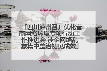 四川泸州召开优化营商网络环境专项行动工作推进会 涉企网络乱象集中整治初见成效