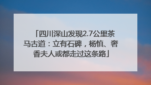四川深山发现2.7公里茶马古道：立有石碑，杨慎、奢香夫人或都走过这条路